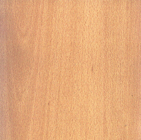 Front Buche für Waschrinne im Kindergarten